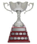 Nickel Plated Dublin Annual 3 Tier Cup