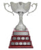 Nickel Plated Dublin Annual 3 Tier Cup