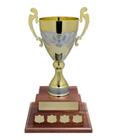 Cortina Annual 2 Tier Cup