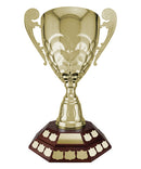Large Annual Floater Cup Trophy