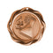 Fusion Science Medal