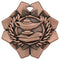 Imperial Knowledge Medal