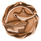 Fusion Knowledge Medal