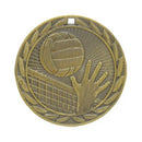 Iron Volleyball Medal