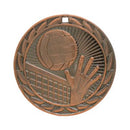 Iron Volleyball Medal