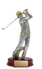 Resin Classic Male Golfer Silver & Gold Trophy