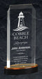 Acrylic Spectra Award - shoptrophies.com