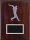 Baseball Player Plaque - shoptrophies.com