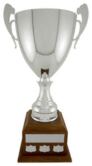 Clarrington Annual Cup on Walnut Finish Base - shoptrophies.com