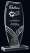 Clear Regal Acrylic Award - shoptrophies.com