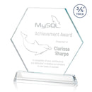 Crystal Ralston Clear Optical Award - shoptrophies.com
