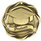 Fusion Graduate Medal - shoptrophies.com
