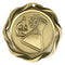 Fusion Science Medal - shoptrophies.com