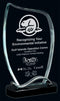 Glass Amazon Award - shoptrophies.com