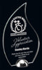 Glass Juniper Award - shoptrophies.com