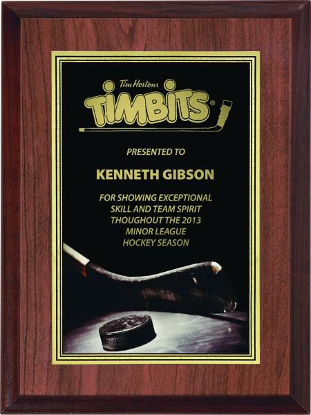 Hockey Plaque - shoptrophies.com