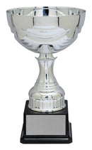 Metal Wentworth Silver Cup - shoptrophies.com