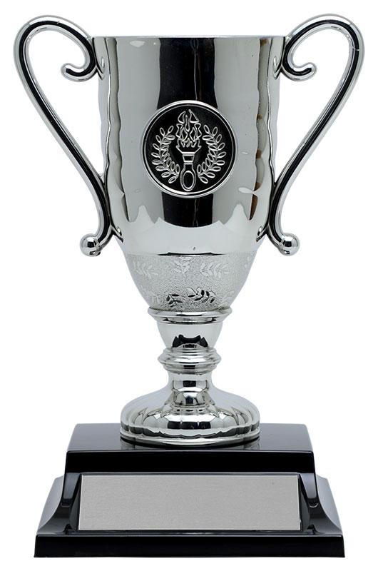 Plastic Silver Hugo Cup - shoptrophies.com