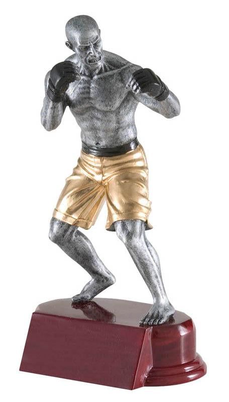 Resin Classic Mixed Martial Arts Trophy - shoptrophies.com