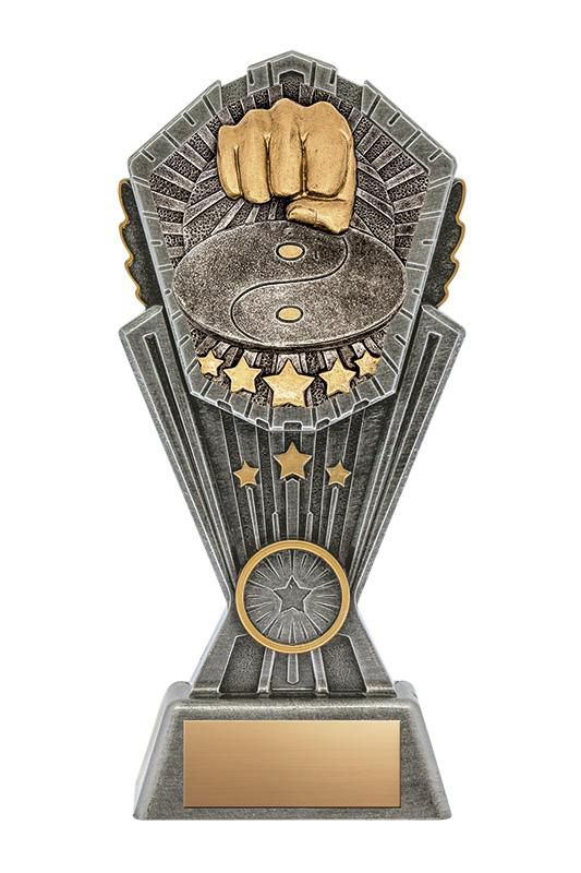 Resin Cosmos Series Martial Arts Trophy - shoptrophies.com