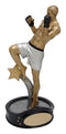 Resin Male Mixed Martial Arts Trophy - shoptrophies.com