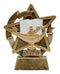 Resin Star Gazer Knowledge Trophy - shoptrophies.com