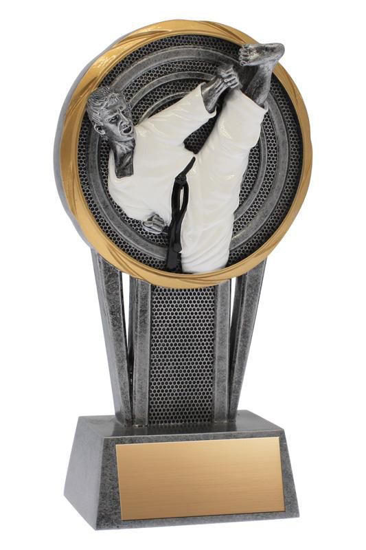 Resin Vortex Karate Trophy - shoptrophies.com