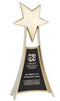 Rising Star Gold Award - shoptrophies.com