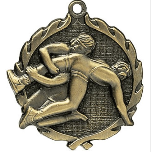 Sculptured Wrestling Medal - shoptrophies.com