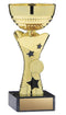 Stars Economy Gold Cup - shoptrophies.com