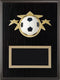 Tri-Star Soccer Plaque - shoptrophies.com